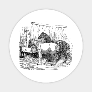 Vintage Horses Design Magnet